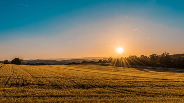 Agriculture sector in Kenya